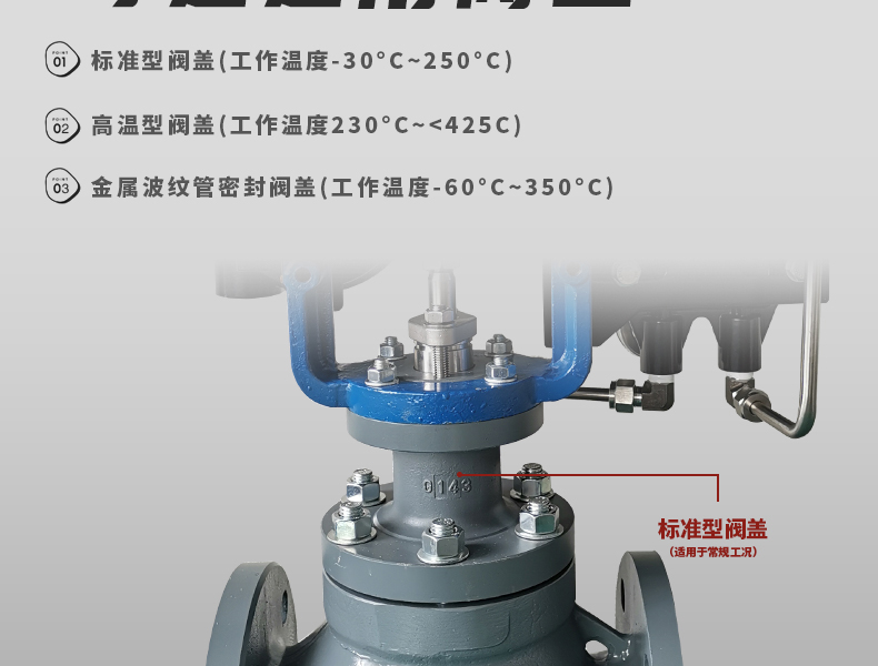 氣動籠式調(diào)節(jié)閥-首龍_14.jpg